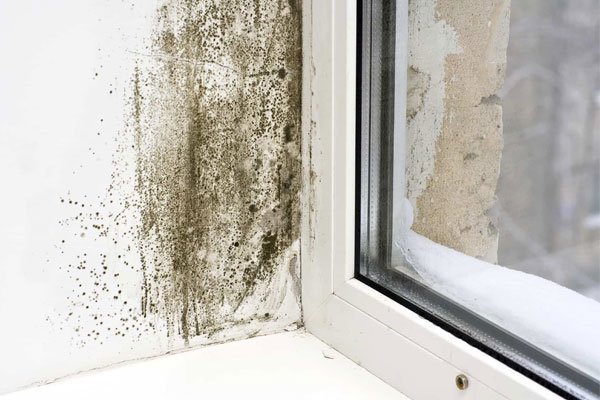 Damp and Mould Specialist London