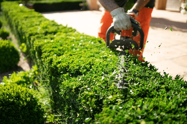 Seasonal Home Maintenance Checklist from a London Handyman