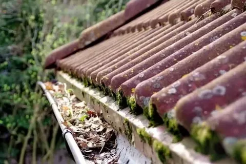 Spring Home Maintenance Checklist (2026)